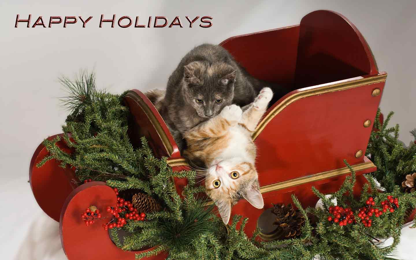 Two cats are playing in a sleigh with christmas decorations.