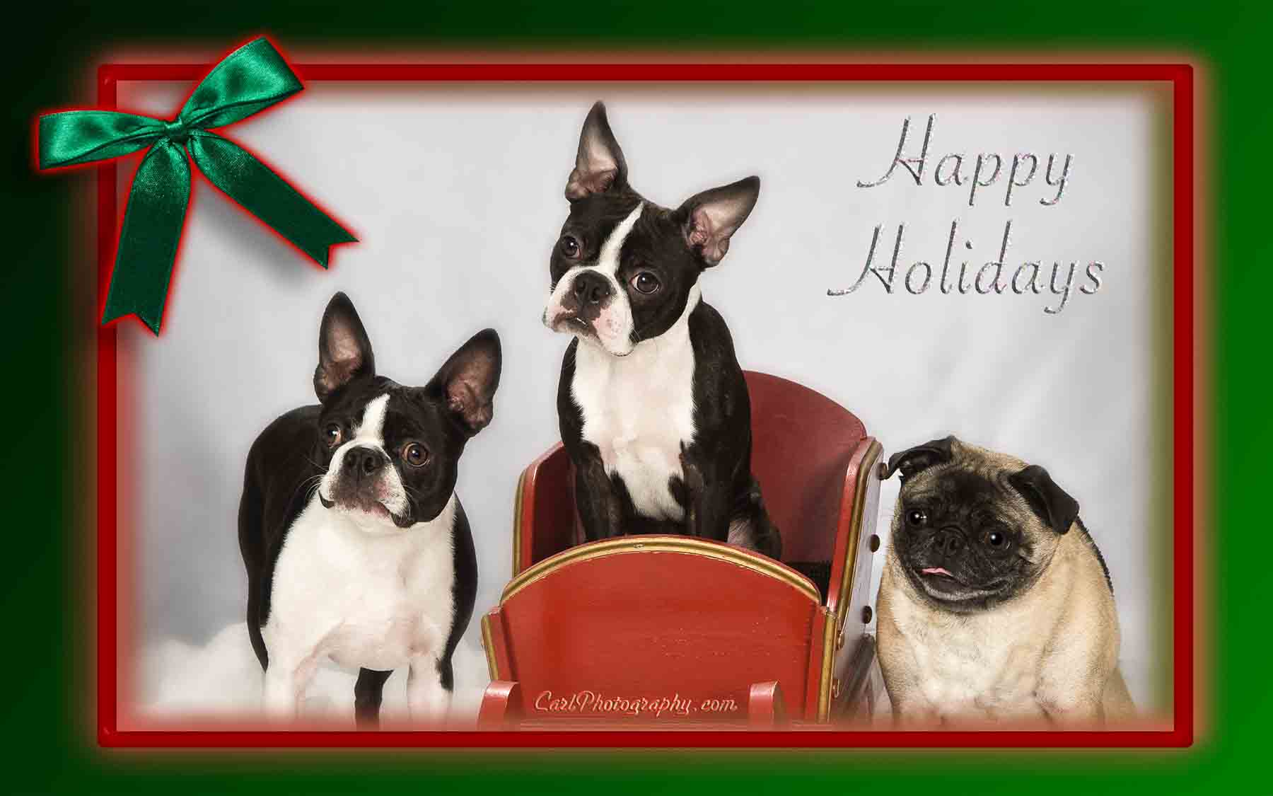 Three dogs sitting in a sleigh with the words " happy holidays ".