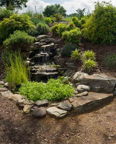 A garden with rocks and plants in the middle of it