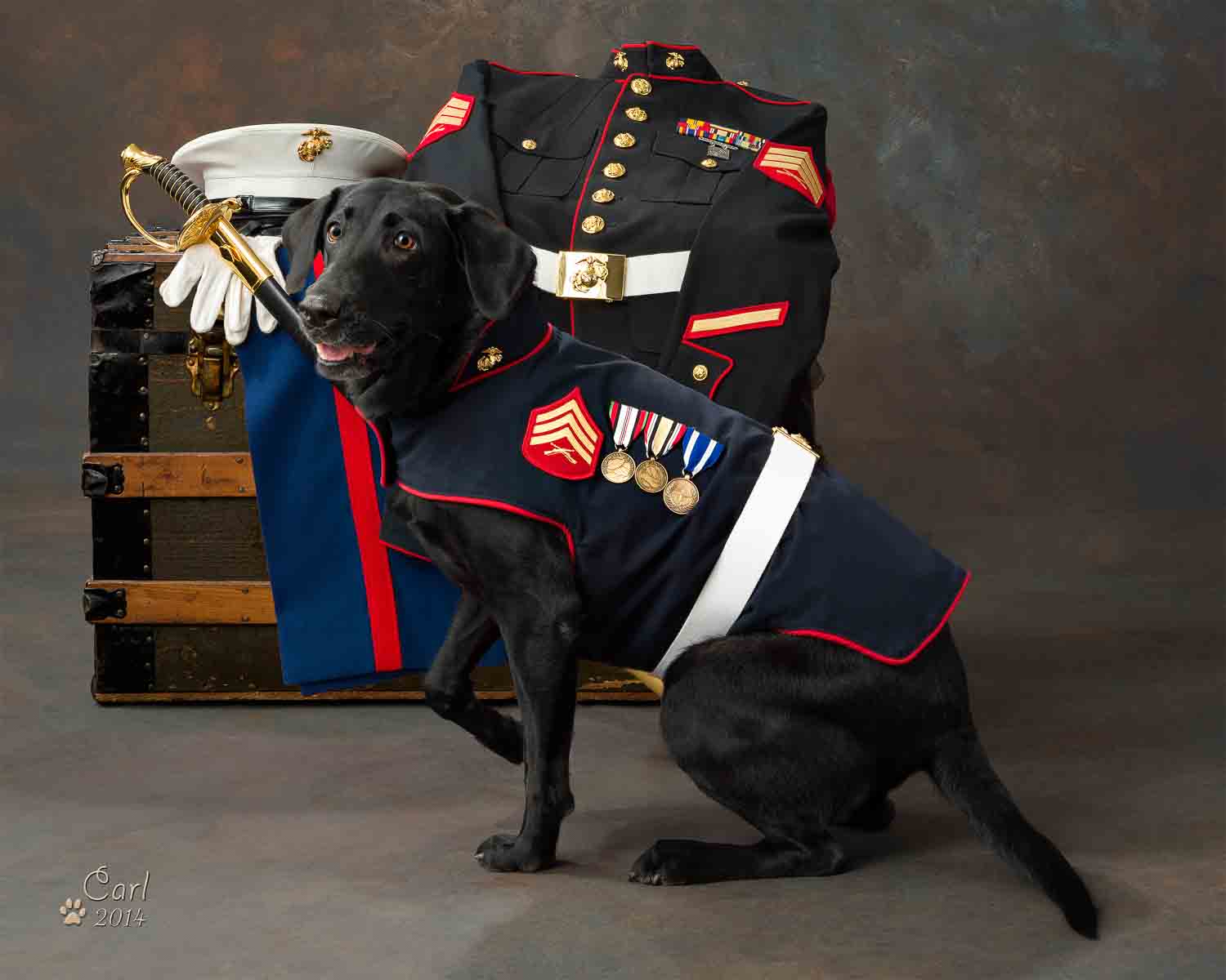 A black dog in uniform sitting next to a chest.