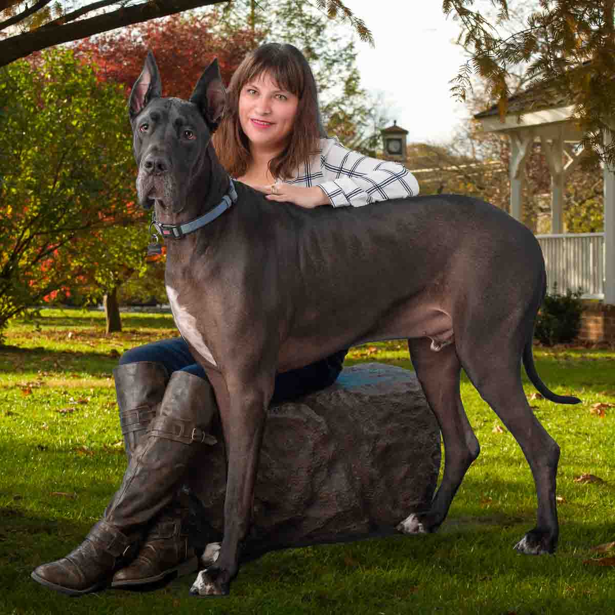 A woman sitting on top of a large dog.