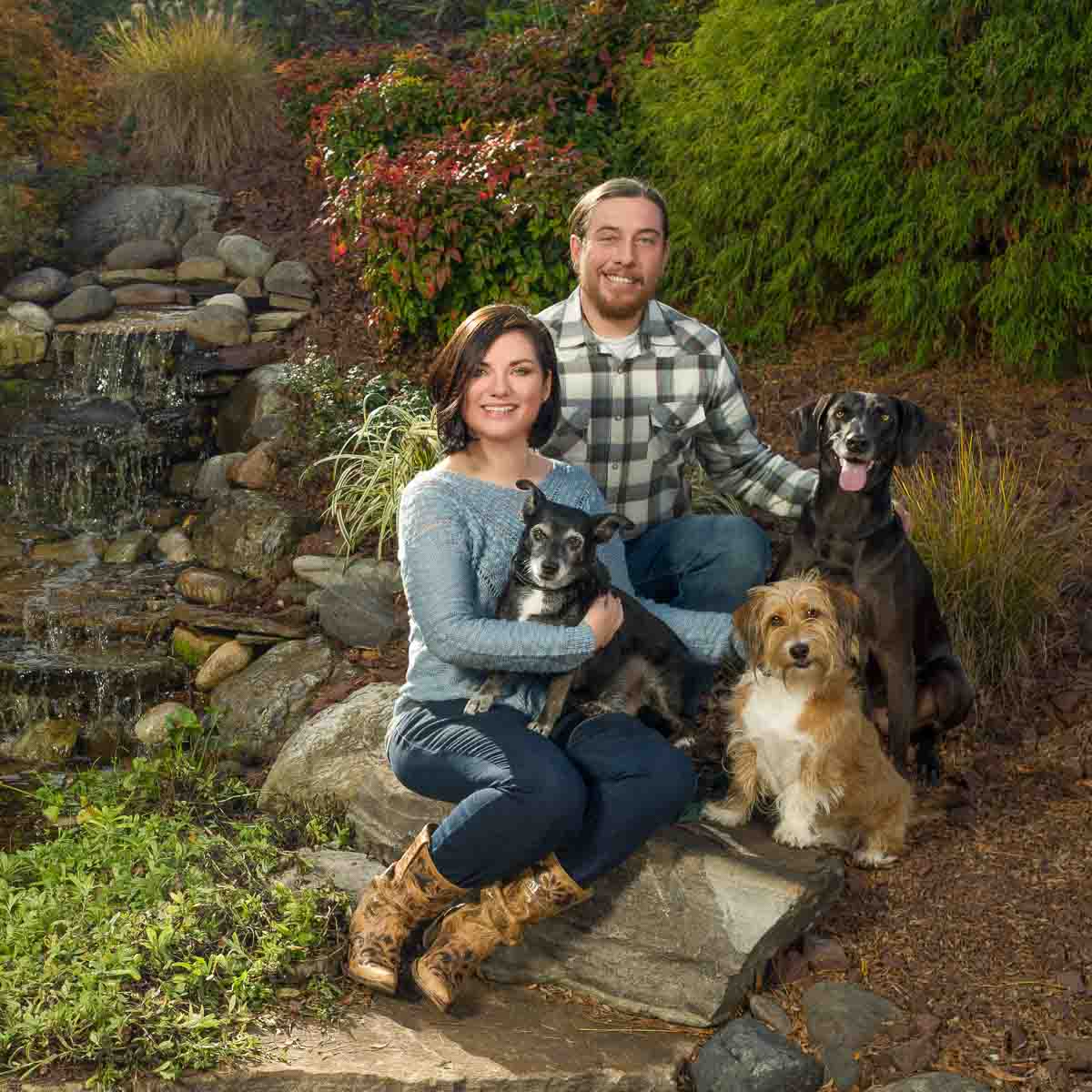 A man and woman sitting on rocks with two dogs.