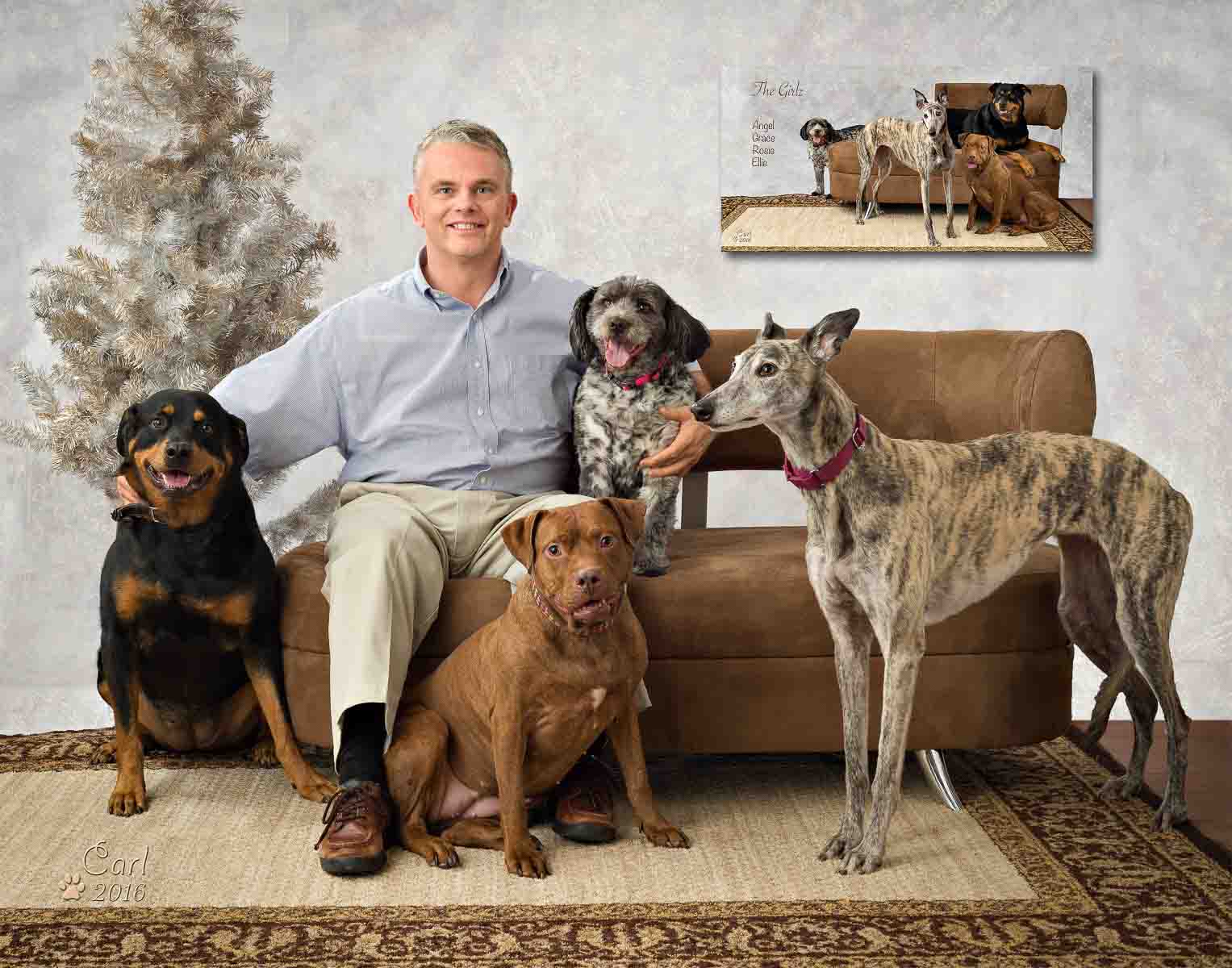 A man sitting on top of a couch with several dogs.
