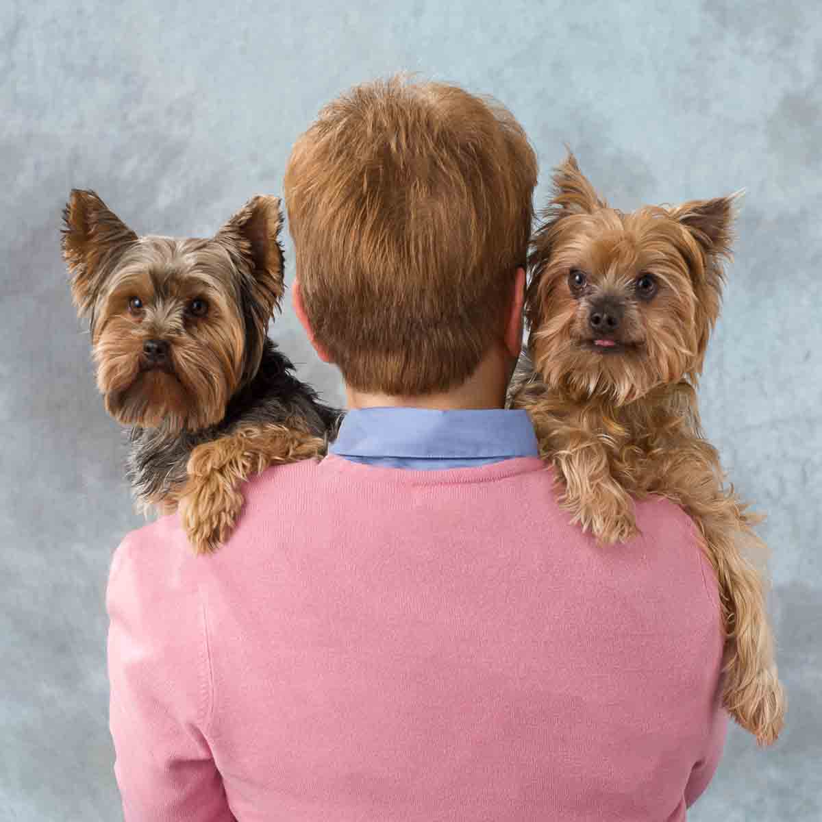 A man with two small dogs on his shoulders.