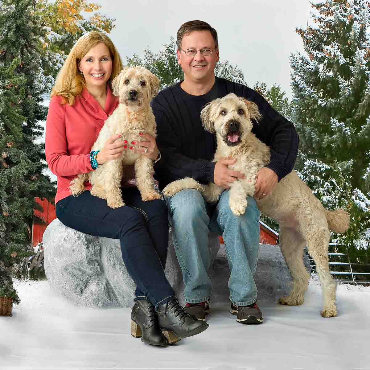 A man and woman sitting on top of a bench with two dogs.