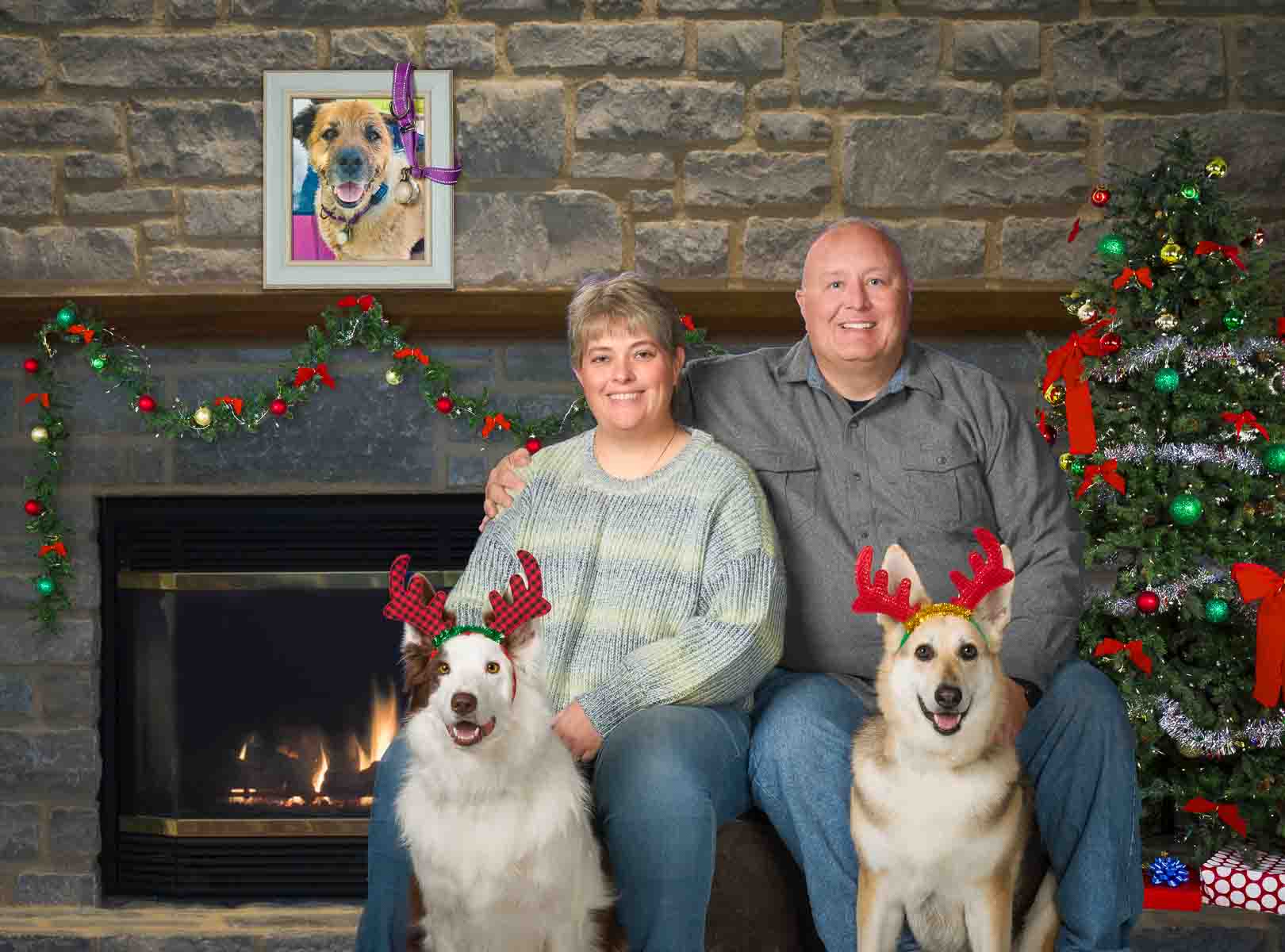 A man and woman sitting on the couch with two dogs.