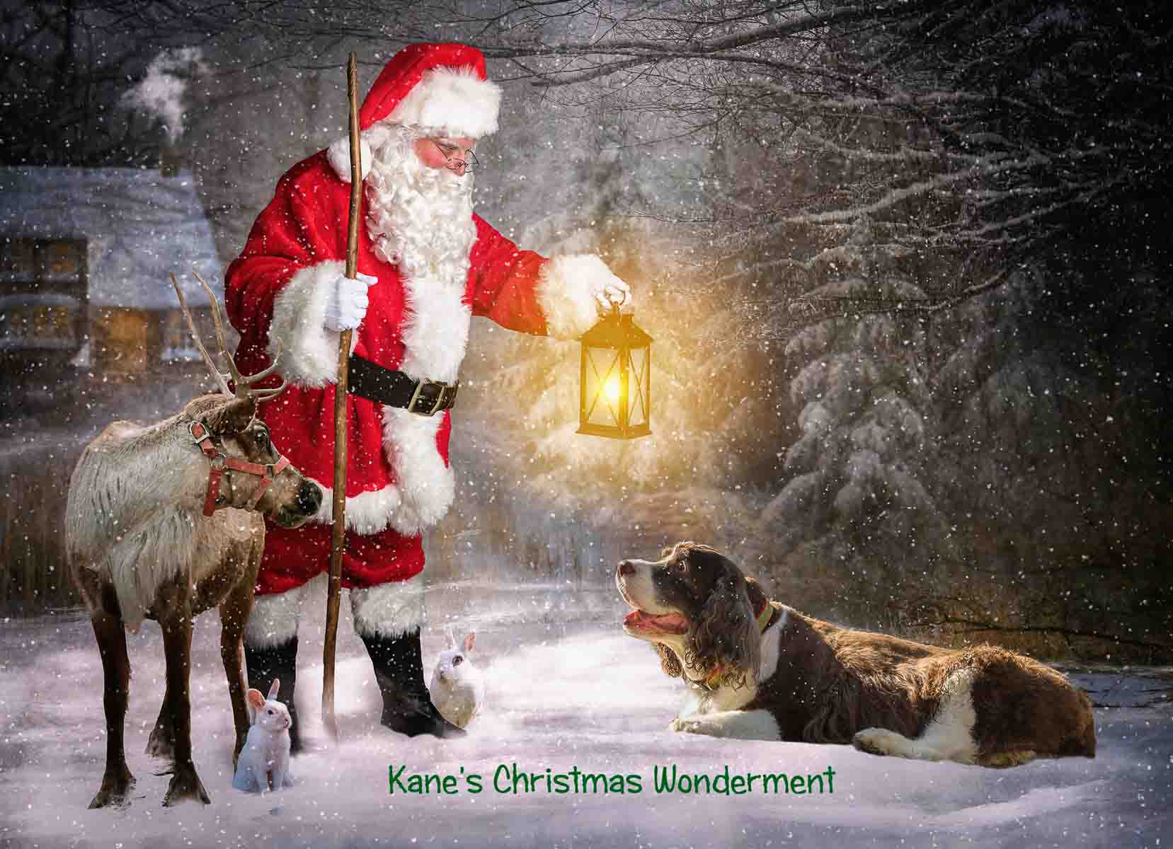A man dressed as santa claus holding a lantern next to two dogs.