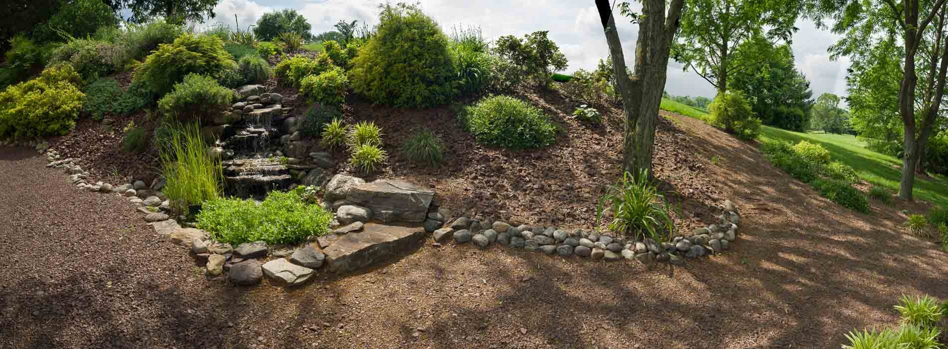 A garden with rocks and plants on the ground.