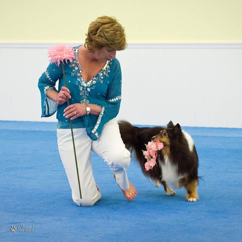 A woman and her dog are playing with each other.