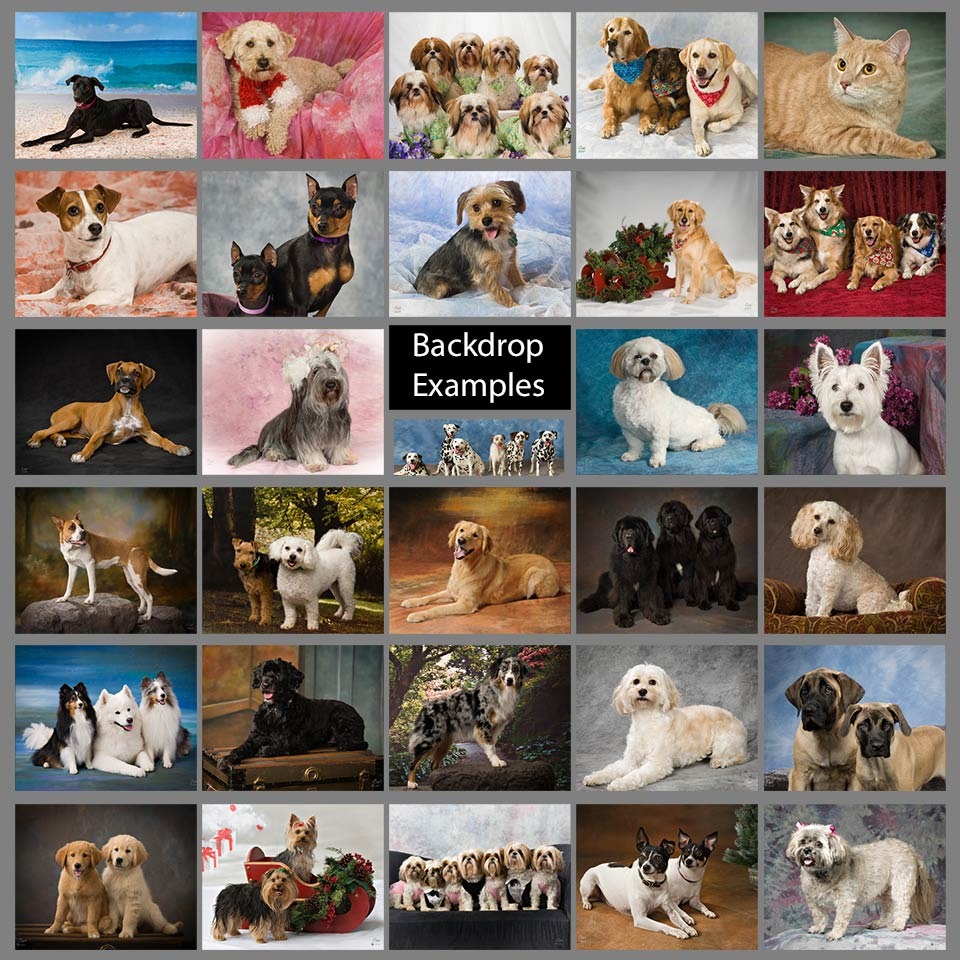 A collage of different dogs with text reading " backing examples ".