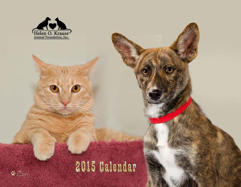 A cat and dog are sitting on the cover of a calendar.