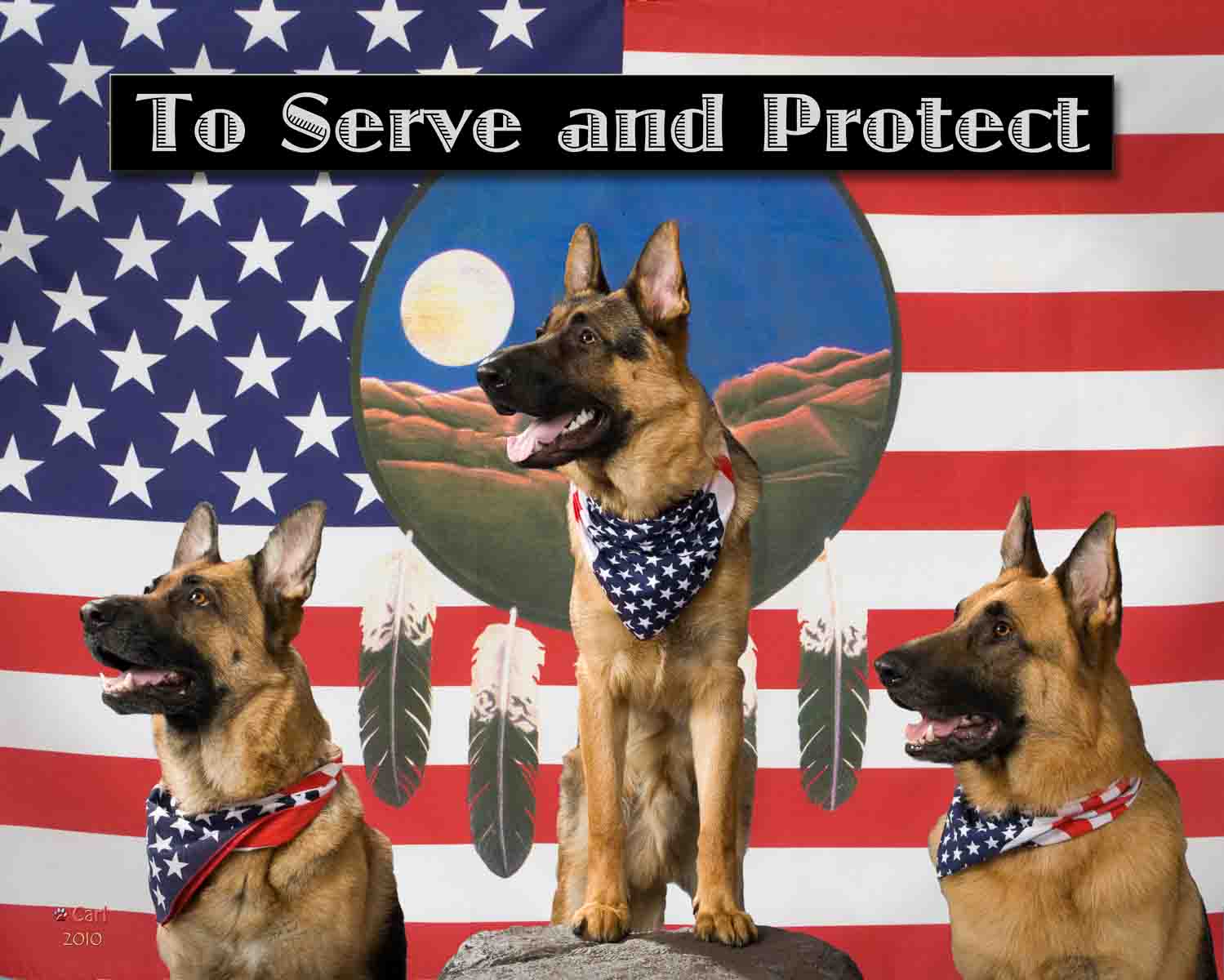 Three dogs in front of an american flag.