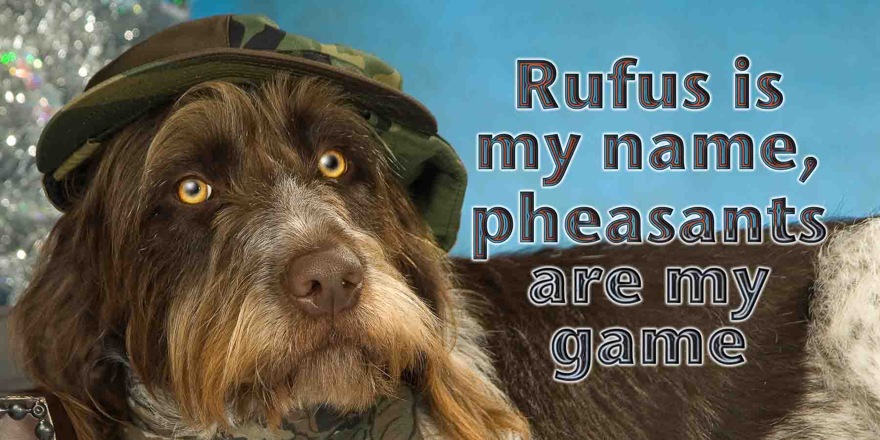 A dog with a hat on and the words rufus my name pheasants are game