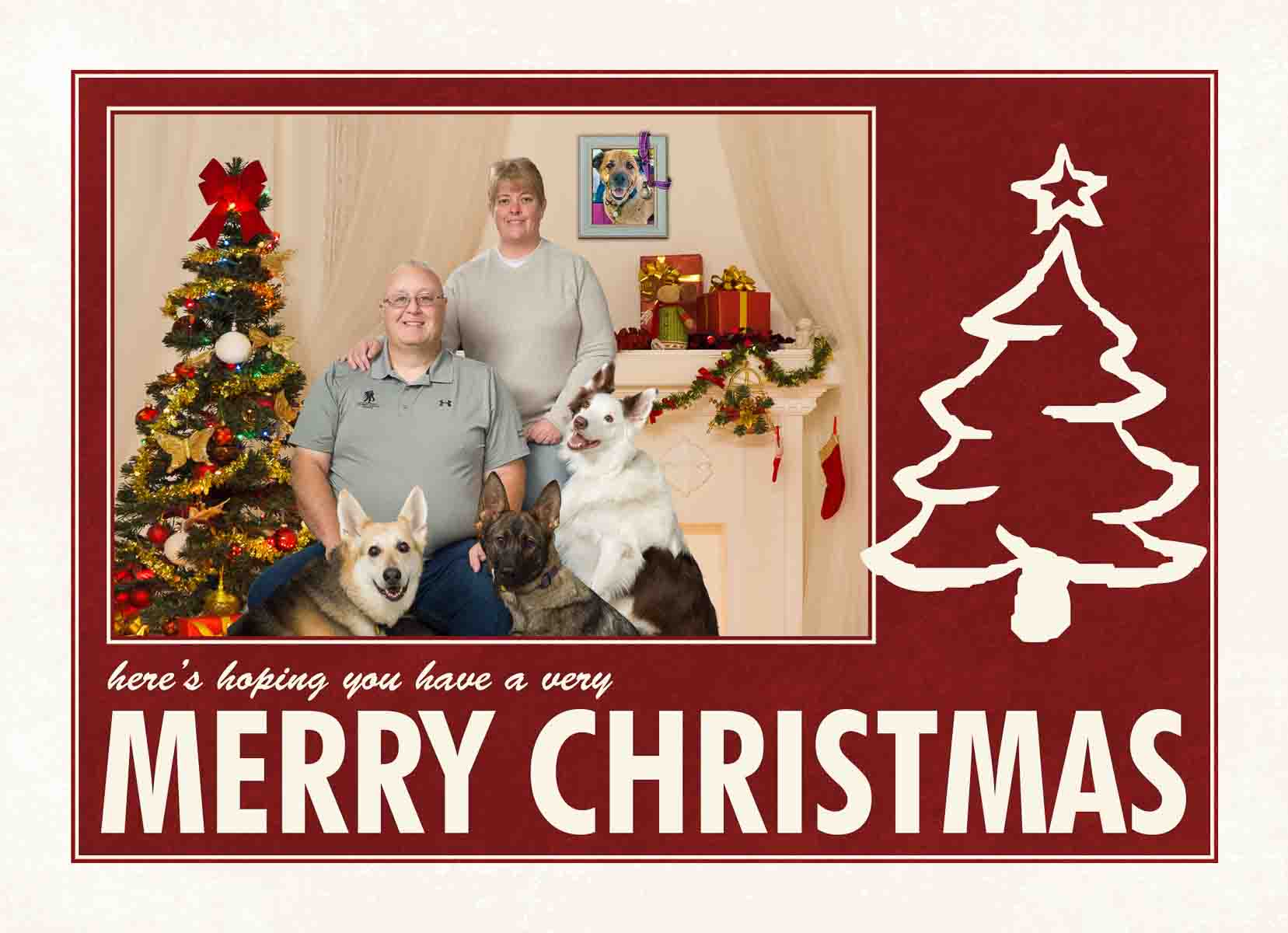 A family with two dogs in front of christmas trees.