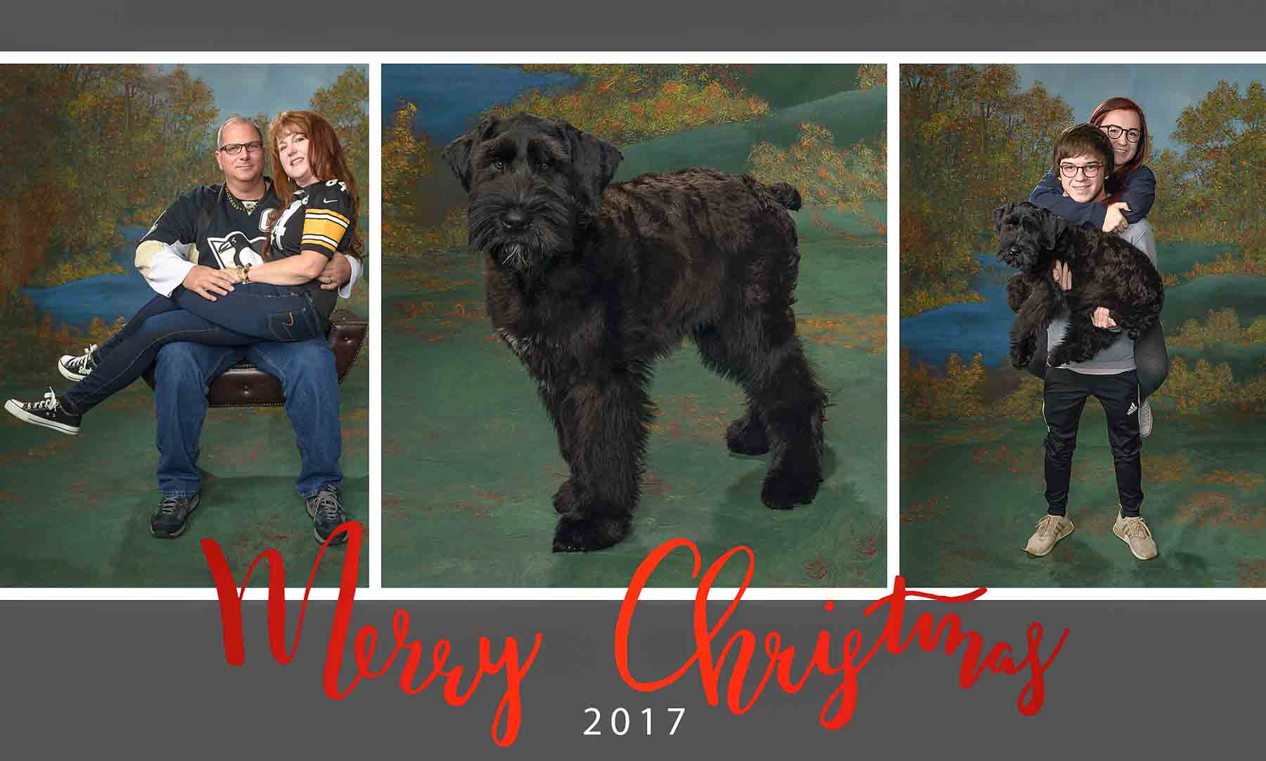 A collage of photos with the words merry christmas 2 0 1 7